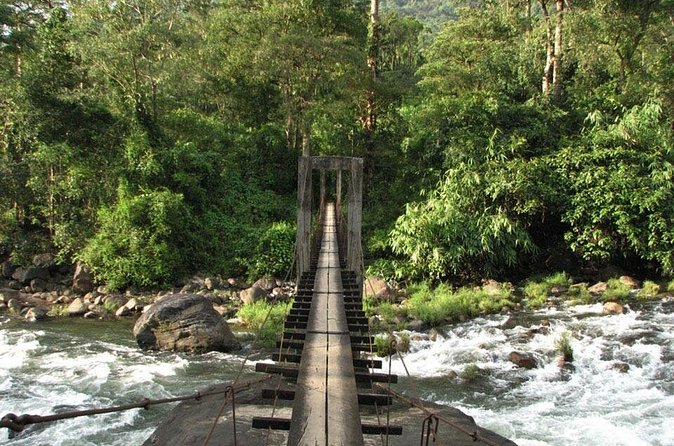 1 Day Activity Adventure Trekking Kerala - Getting the most value from the included jeep and transfers