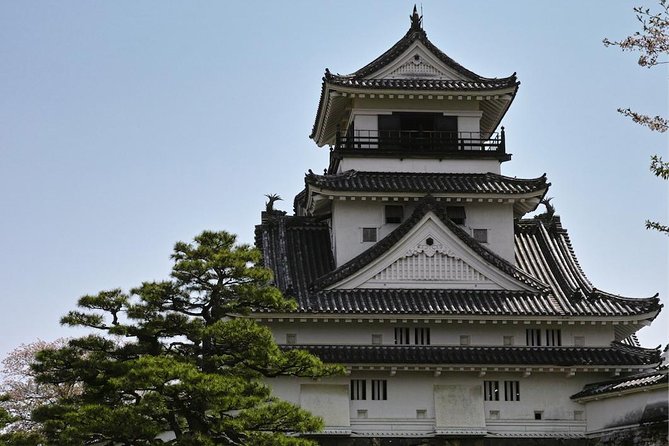 1-Day Kochi Highlights Tour with local guide - Makino Botanical Garden: Garden Quiet With Big Reward