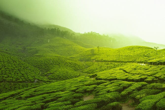 12 Hours Private Munnar Tour from Kochi - Valara Waterfalls: another waterfall break in the Idukki hills