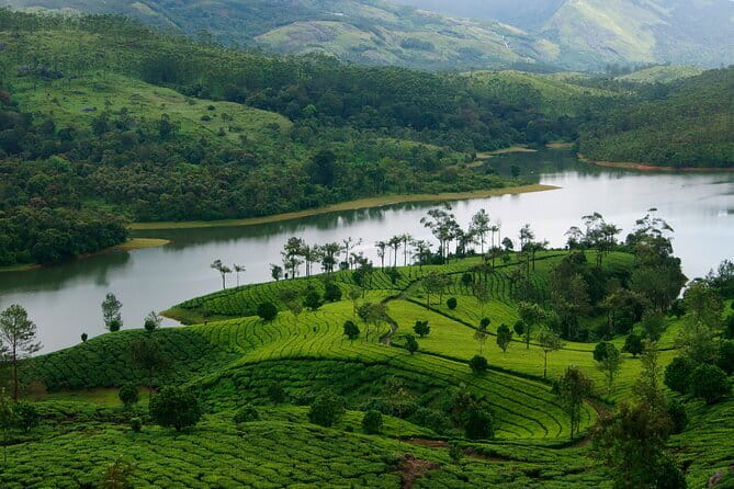 3 Nights Private Kerala Premium Package by Sanguine Holidays - Key highlights worth planning around