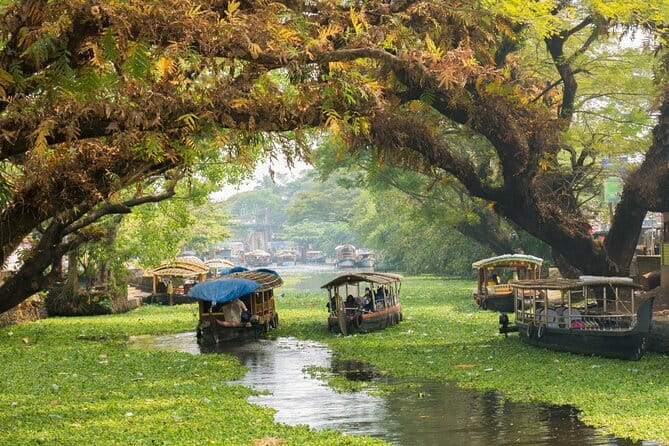 3 Nights Private Kerala Premium Package by Sanguine Holidays - Price and value: What you’re actually paying for