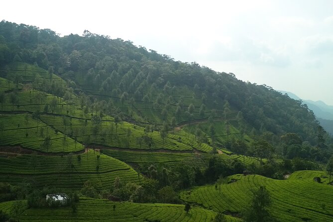 3 Nights Private Tour with Exclusive Houseboat- Sanguine Holidays - Day 1 on the road: Cheeyappara and Valara waterfalls