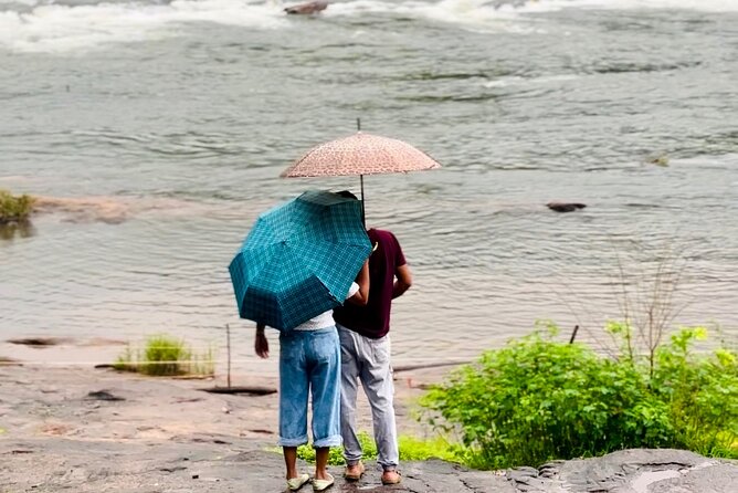 4 Day Kerala Tour Athirappilly Munnar Alleppey - Day 3: Alappuzha Houseboat Check-In and Backwater Slow Time