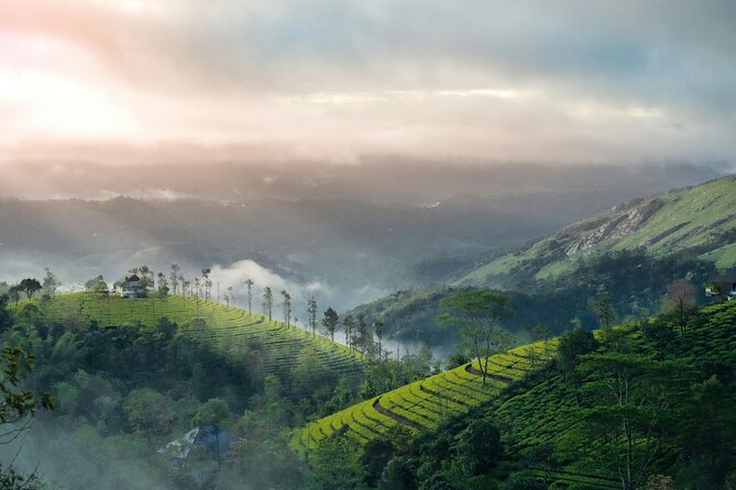 4 Days Private Kerala Tour -Kochi, Munnar, Thekkady with 3<em> Hotel – Key highlights at a glance’ /></p>
<ul>
<li><strong>Private, air-conditioned vehicle</strong> with a driver handling transfers and stops</li>
<li><strong>Munnar tea essentials</strong> including the KDHP Tea Museum and garden time</li>
<li><strong>Multiple waterfall viewpoints</strong> on the way into the hills</li>
<li><strong>Dam-and-lake breaks</strong> like Kundala Lake and Mattupetty Dam for photos and easy pacing</li>
<li><strong>Eravikulam National Park focus</strong> on the Nilgiri Tahr and the Neelakurinji bloom story</li>
<li><strong>Periyar Lake wildlife time</strong> at a major sanctuary with a full stretch on the water</li>
</ul>
<h2 id="a-private-kerala-road-trip-that-keeps-the-pace-human">A private Kerala road trip that keeps the pace human</h2>
<p><img width="669" height="446" decoding="async" src=