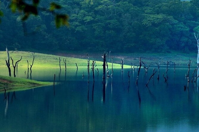 5 Days Luxury Kerala Tour with Houseboat Experience - Getting from Cochin to Munnar: waterfalls, tea, and a slower start