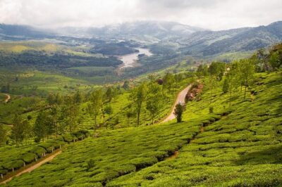 6 Days Private Tour Kerala Natural Retreat - Riding up to Munnar: Eravikulam, Echo Point, Mattupetty, and Rose Gardens