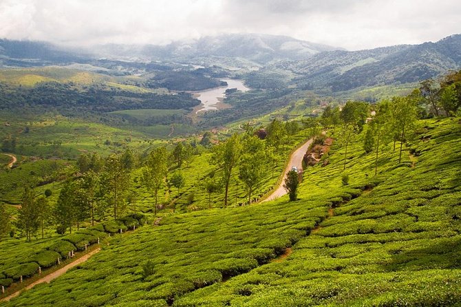6 Days Private Tour Kerala Natural Retreat - Riding up to Munnar: Eravikulam, Echo Point, Mattupetty, and Rose Gardens