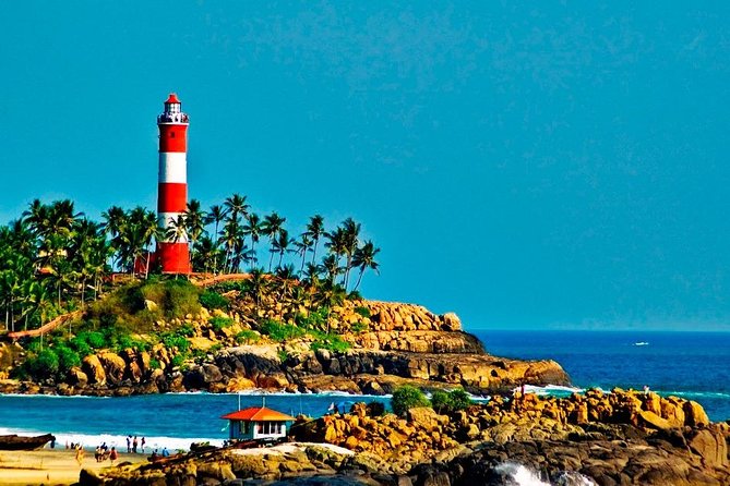 7-Day Kerala Luxury Tour from Cochin with Private Driver - Munnar’s Highlands: Tea Country, Eravikulam (Rajamalai), and Dam Views