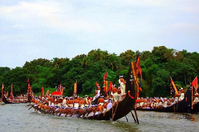 7-Day Kerala Luxury Tour from Cochin with Private Driver - Where Your Money Goes: Price, Hotel Categories, and What to Budget