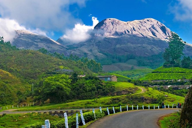7-Day Kerala Luxury Tour from Cochin with Private Driver - Fort Kochi First Look: Nets, Saint Francis, Synagogue, and Basilica