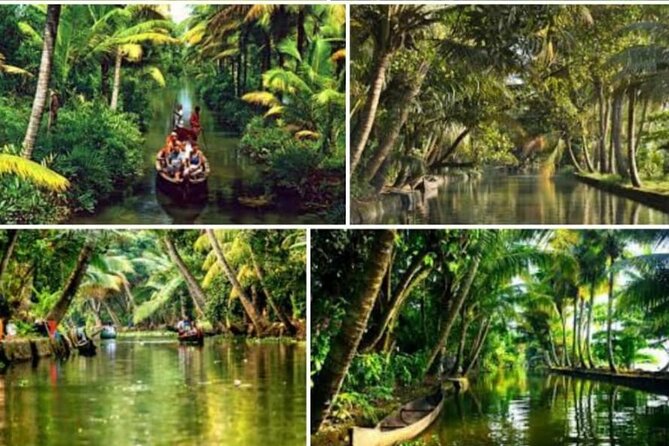 Alasr Lakeview Cruise /Hourly Trips to Backwater of Alleppey - Key highlights you’ll actually care about