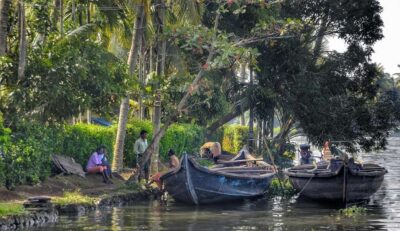 Aleppey Houseboat backwater Day Tour with Lunch and pickup - Kochi pickup to Alleppey: the part you’ll either love or barely notice
