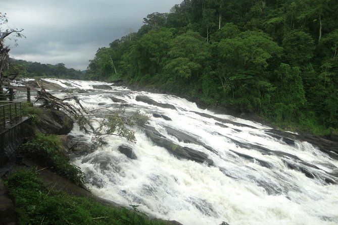 Athirappally & Vazhachal Waterfall Tour with Lunch - How the day actually flows from Kochi