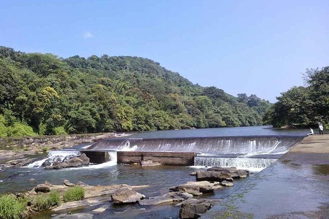 Athirappally & Vazhachal Waterfall Tour with Lunch - What makes the organization feel premium