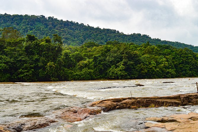 Athirappilly Water Falls : A Nature Day Trip from Kochi - Key highlights you’ll actually feel