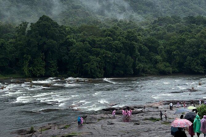 Athirappilly Waterfalls Day Trip from Kochi with Transfers - Private-group transfers: smoother than you’d think