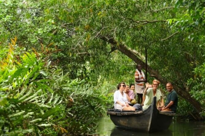 Backwater Tour from Cochin - The 7-Hour Plan: How the Day Flows (and What to Expect)