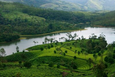 Best of Kerala Tour Package 7 nights / 8 days by Sanguine Holidays - Day 1 in Kochi: Mattancherry Palace, Paradesi Synagogue, and museum-hopping