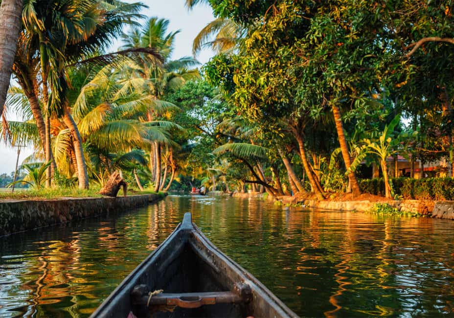 Cochin: 5-Day Kerala Tour with Munnar, Thekkady and Alleppey - Should you book this 5-day Kerala tour from Cochin?