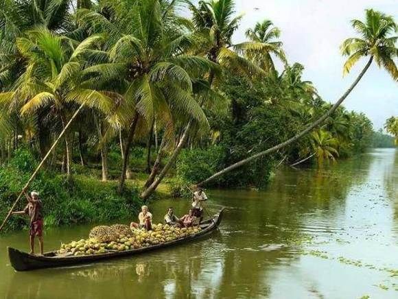 Cochin : Alleppey/Alappuzha Backwater Canoe (Shikara) Cruise - Key moments that make this cruise worth your time