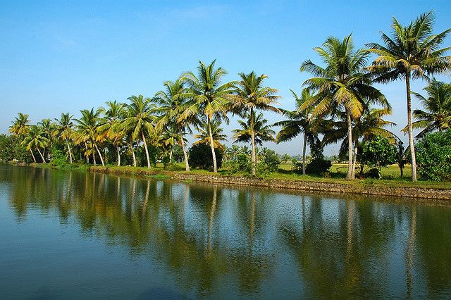Cochin : Alleppey/Alappuzha Backwater Canoe (Shikara) Cruise - Cochin to Alleppey: timing that keeps your day sane