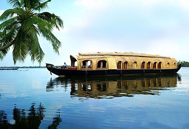 Cochin: Alleppey Backwater Private Day Cruise by Houseboat - Cochin to Alleppey: How the day starts (and why it matters)