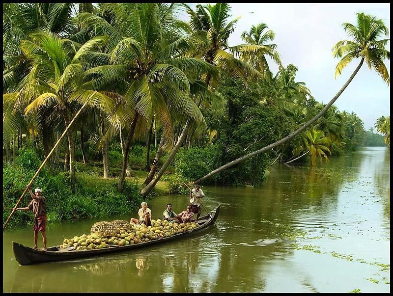Cochin: Alleppey Backwater Private Day Cruise by Houseboat - Entering the Alleppey backwaters on a traditional houseboat