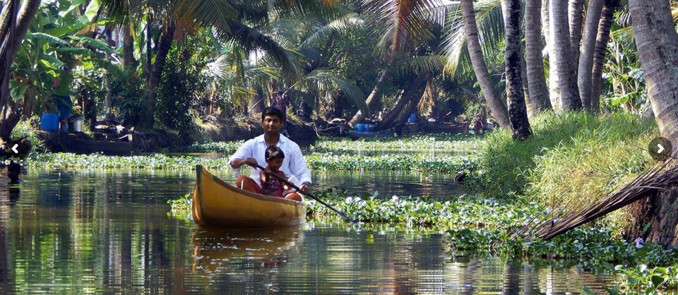 Cochin: Backwater Village Eco Boat Cruise with Lunch - Guides, Atmosphere, and Small Details That Matter