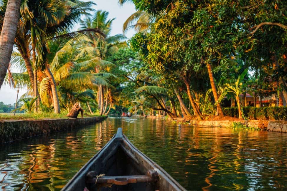 Cochin Backwaters Tour: Eco Boat Ride & Traditional Lunch - Why Kerala backwaters feel like a reset from Fort Cochin