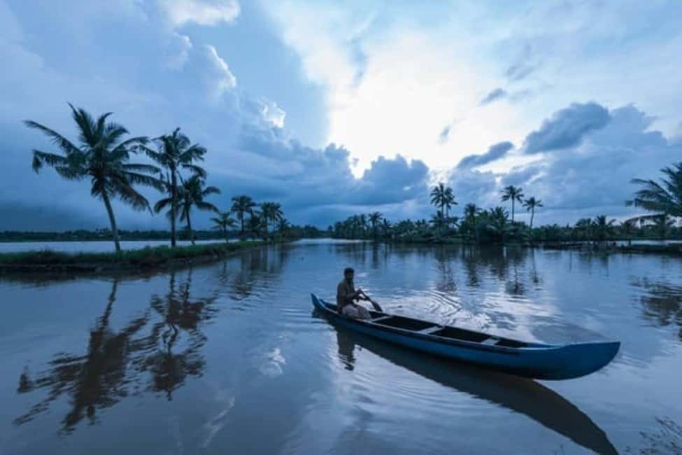 Cochin Backwaters Tour: Eco Boat Ride & Traditional Lunch - The canal ride itself: what to look for during the quiet hour