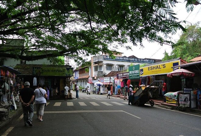 Cochin City or Backwater Shore Excursions from Cruise Terminal - Key things to know before you book this Kochi cruise excursion
