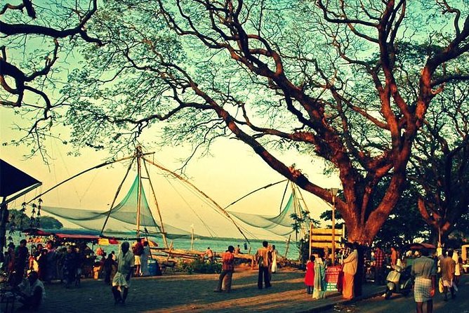 Cochin City or Backwater Shore Excursions from Cruise Terminal - From the cruise pier to Kerala water life in one trip