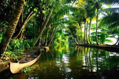 Cochin Heritage Tour With Alleppey Houseboat Cruise - Alleppey backwaters by houseboat: what you actually get