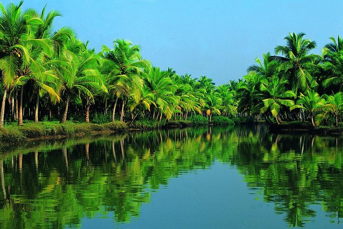 Cochin Shore Excursion: Backwater Houseboat Tour and Chinese Nets - How the 7-hour flow works from Sagarika Terminal to Alleppey