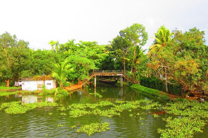 Cochin Shore Excursions from Cruise Terminal - Timing and transport: managing the long road day to Aleppey