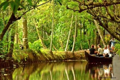 Cultural Tour To Vaikom Village - Small-boat backwaters: why the canoe ride matters