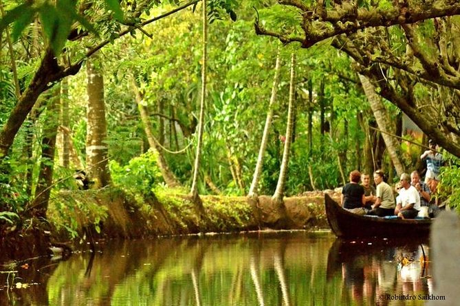 Cultural Tour To Vaikom Village - Small-boat backwaters: why the canoe ride matters