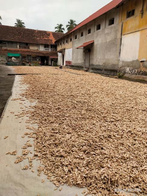 Fortkochi Heritage Walking tour with a local guide - Dhobi Khana laundry: everyday life in the open air