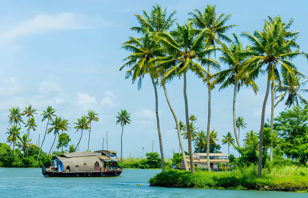 From Cochin: Day Tour of Alleppey houseboat with Lunch - Key highlights you’ll feel right away