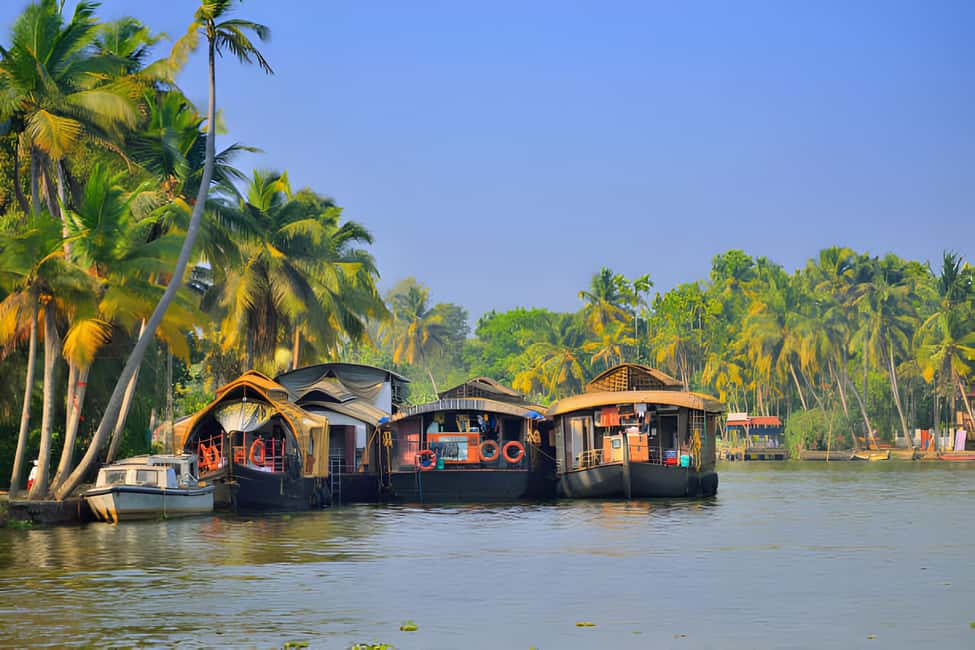 From Cochin: Day Tour of Alleppey houseboat with Lunch - Price and Value: Is $218 per Person a Good Deal?