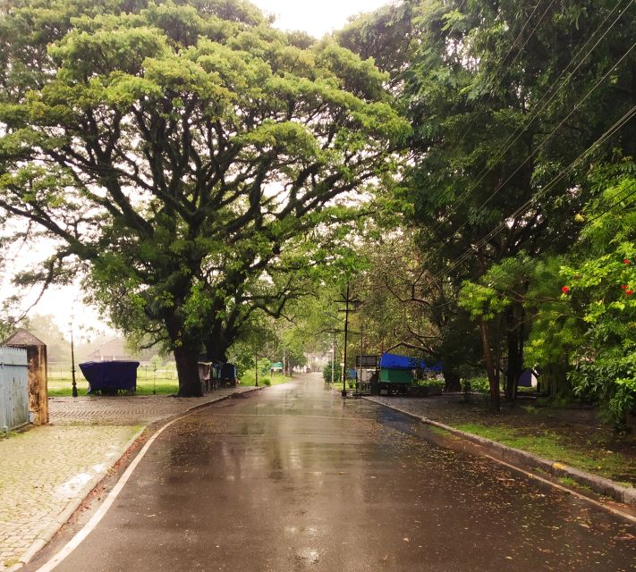 From Cochin: Fort Kochi and Mattancherry Sightseeing Tour - St. Francis Church and Vasco da Gama’s connection