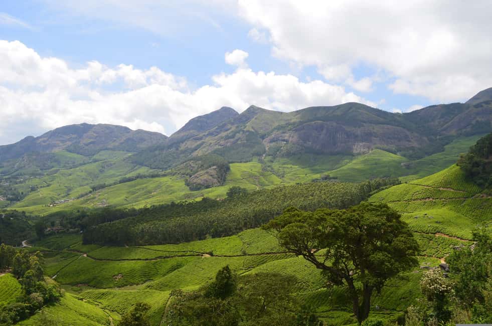 From Cochin: Thekkady 2-Day Tour with Jeep Safari - Spice plantations and the Thekkady market: the day that rounds you out