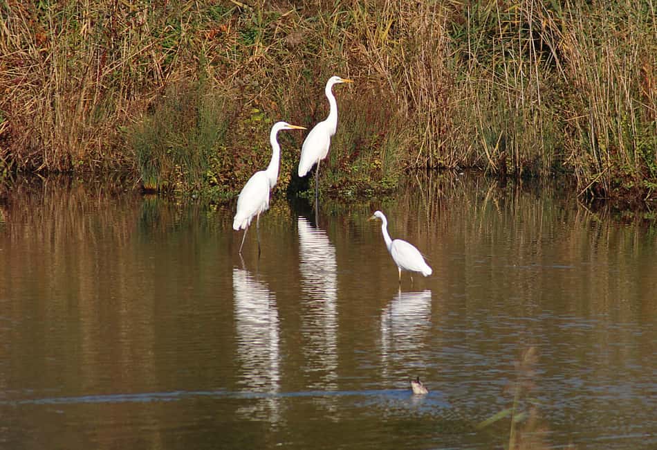 From Cochin: Thekkady 2-Day Tour with Jeep Safari - What to bring for comfort in Thekkady