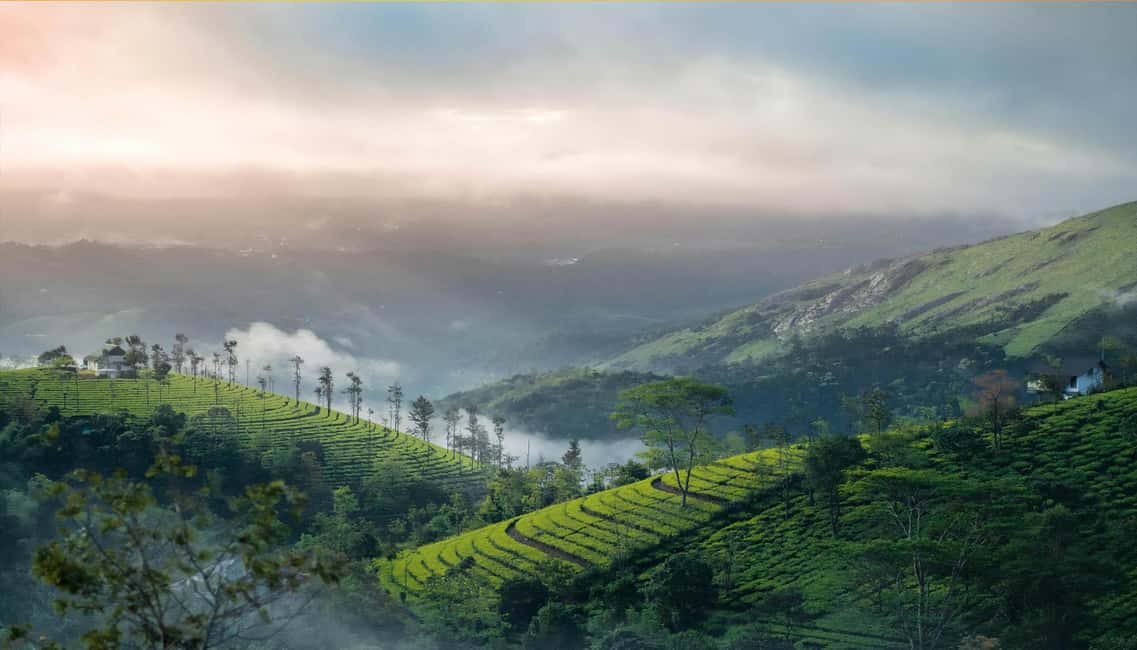 From Cochin: Thekkady 2-Day Tour with Jeep Safari - Day-by-day walkthrough: what your 2 days actually look like