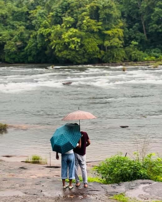 From Kochi: Athirappilly Waterfalls Day Trip with Transfers - Key highlights at a glance