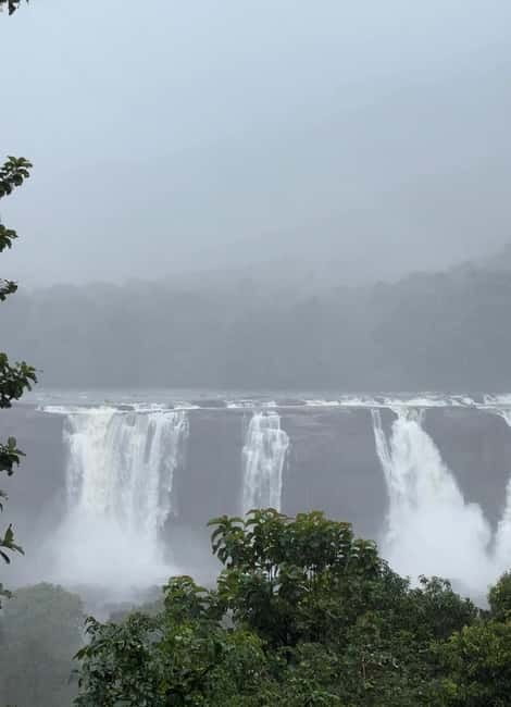 From Kochi: Athirappilly Waterfalls Day Trip with Transfers - How the pace works: private group energy, driver style, and timing