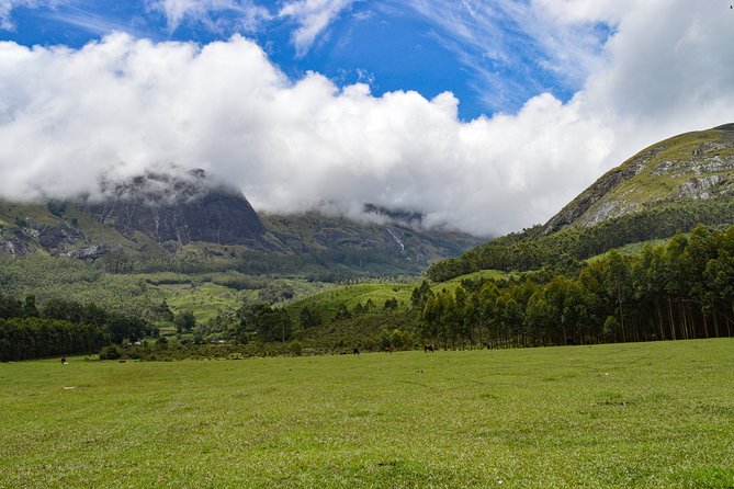 Full-Day Private Tour to Munnar from Kochi with Lunch - Key highlights worth your time