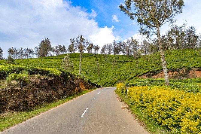 Full-Day Private Tour to Munnar from Kochi with Lunch - A one-day hit of Munnar from Kochi (what you really get)