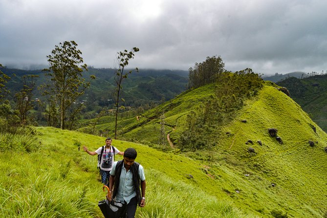Full-Day Private Tour to Munnar from Kochi with Lunch - Mattupetty Dam: mountain-water-greenery photo time