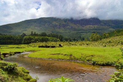 Full-Day Private Tour to Munnar from Kochi with Lunch - Oonnukal breakfast stop: fueling before the hill climb